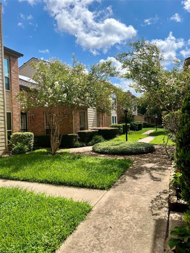 view of home's community with a lawn