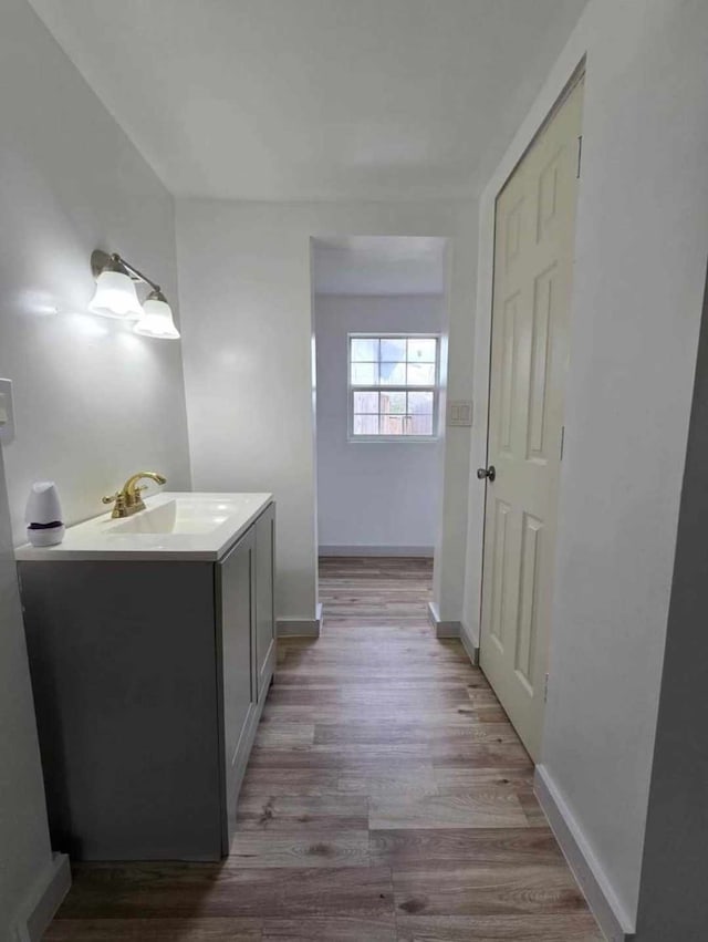 bathroom featuring hardwood / wood-style flooring and vanity