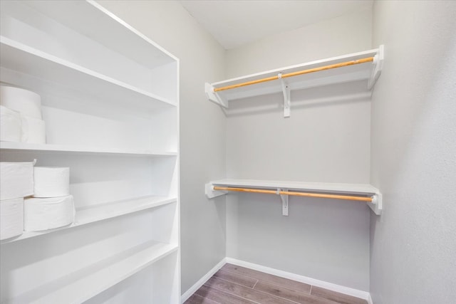 spacious closet featuring dark wood-type flooring