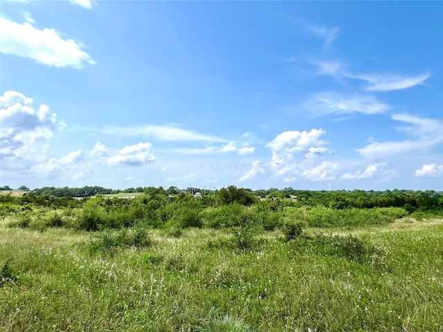 Listing photo 2 for TBD Highway 290, Burton TX 77835