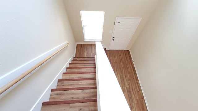 staircase featuring wood-type flooring