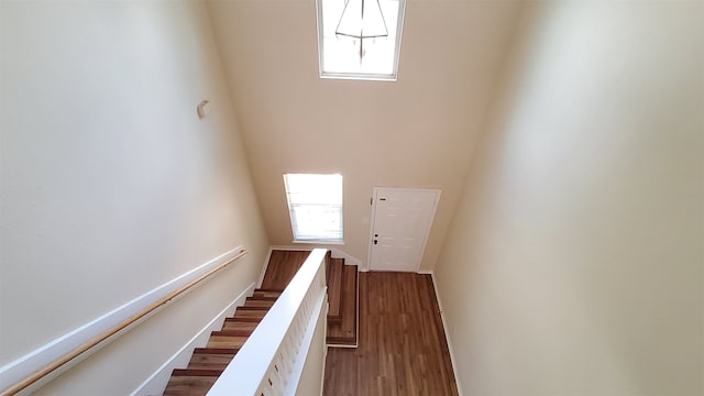 stairway with dark hardwood / wood-style floors