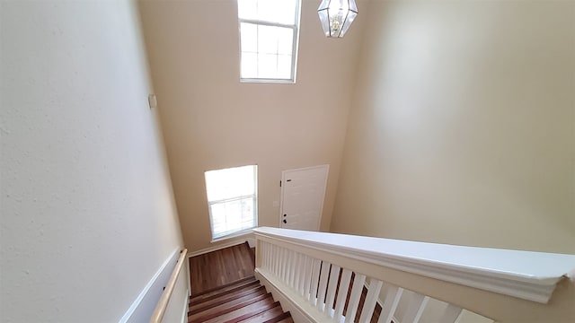 staircase with hardwood / wood-style floors