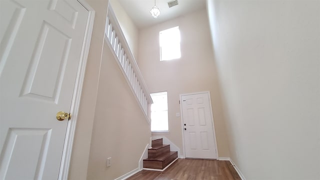 foyer with a towering ceiling and hardwood / wood-style flooring