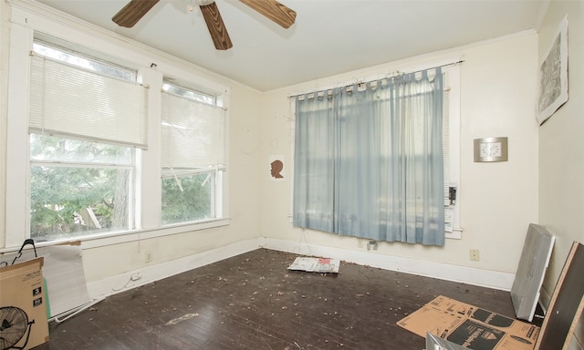 interior space featuring wood-type flooring and ceiling fan