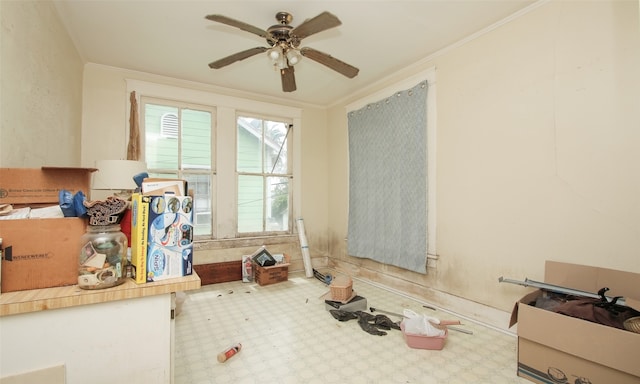 interior space with crown molding and ceiling fan