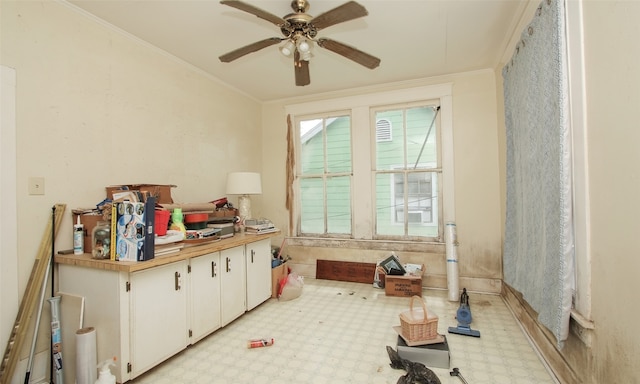 interior space with crown molding and ceiling fan