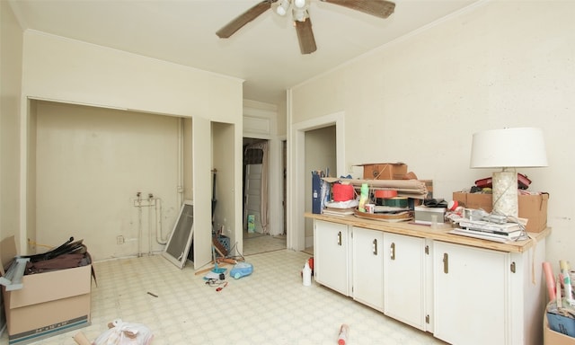 kitchen featuring crown molding, ceiling fan, and white cabinets