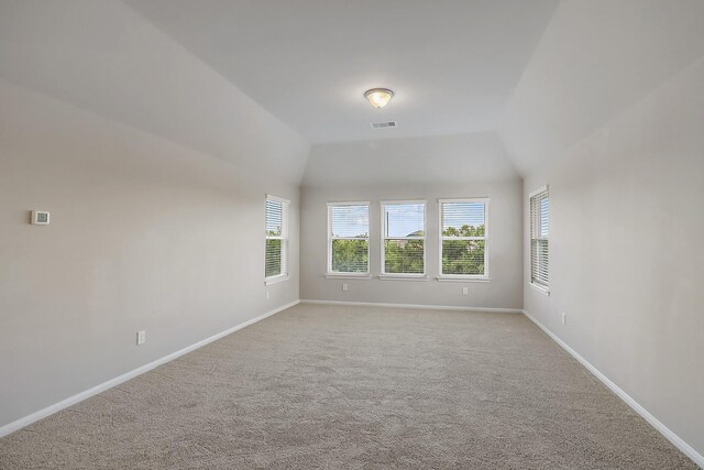 additional living space with carpet and lofted ceiling