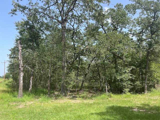 TBD County Road 154, Bedias TX, 77831 land for sale