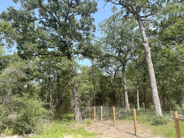 Listing photo 2 for TBD County Road 154, Bedias TX 77831