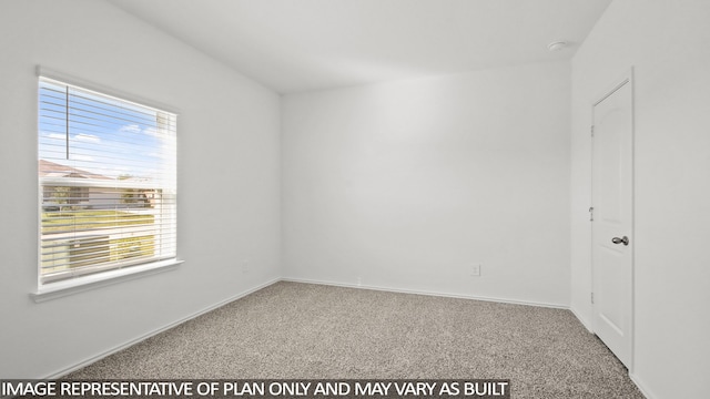 unfurnished room featuring a healthy amount of sunlight and carpet floors