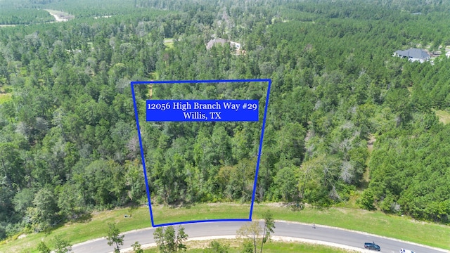 12056 High Branch Way, Willis TX, 77378 land for sale