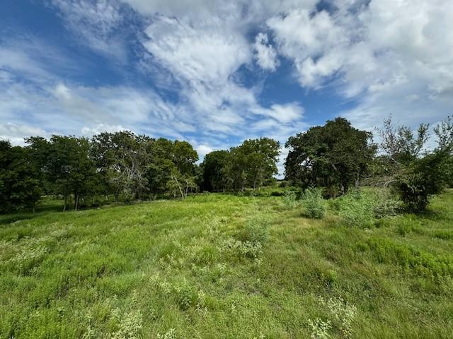 Listing photo 3 for TRACT5 Walhalla Rd, Round Top TX 78954