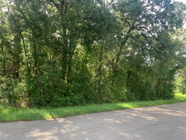 LOT4 E Lakeshore Dr, Magnolia TX, 77355 land for sale