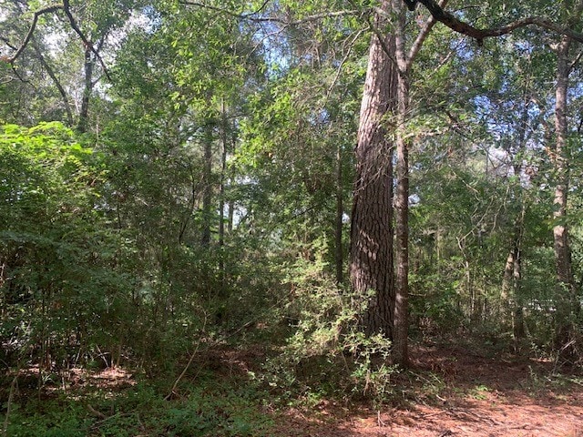 Listing photo 2 for LOT4 E Lakeshore Dr, Magnolia TX 77355