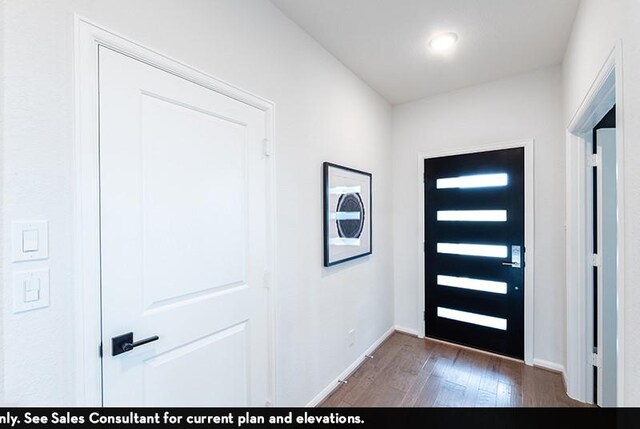 foyer entrance featuring dark hardwood / wood-style floors