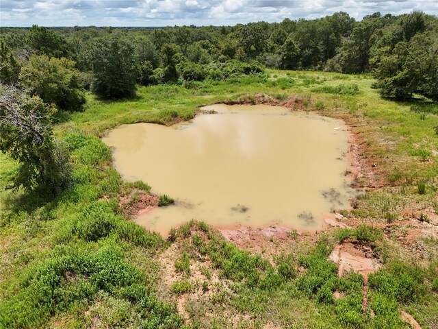 Listing photo 2 for TBD Manning Lane, Madisonville TX 77864