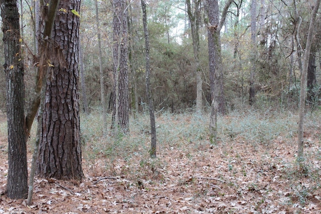 TBD Weeping Willow, Trinity, TX 75862