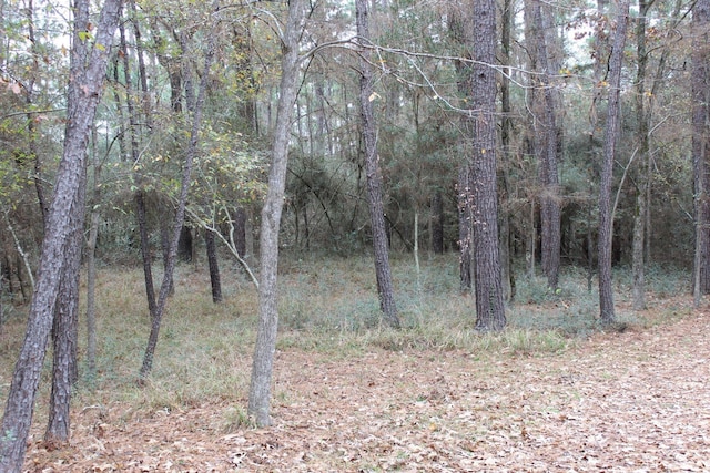 TBD Weeping Willow, Trinity, TX 75862