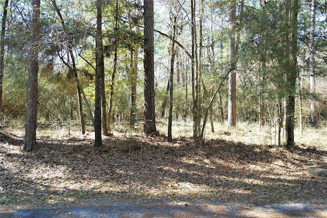 3 Magnolia St, Trinity, TX 75862