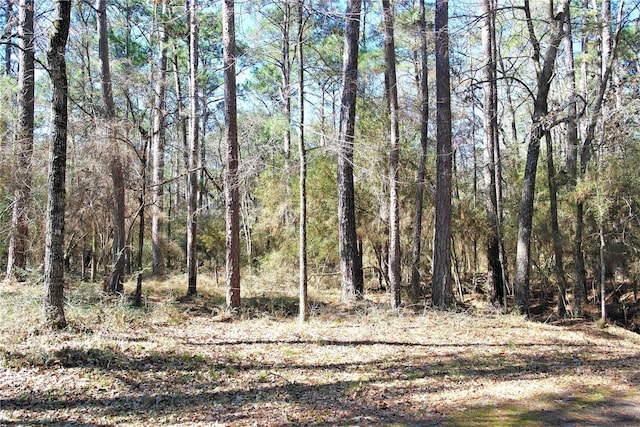 3 Magnolia St, Trinity, TX 75862