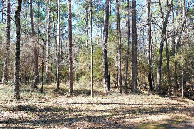 3 Magnolia St, Trinity, TX 75862