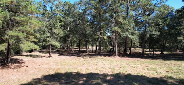 Listing photo 2 for 158TBD County Road 158, Liberty TX 77575