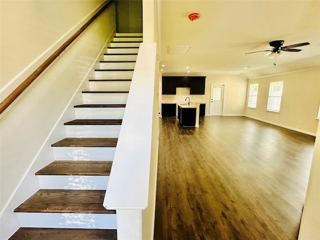 staircase featuring ornamental molding, sink, dark hardwood / wood-style flooring, and ceiling fan