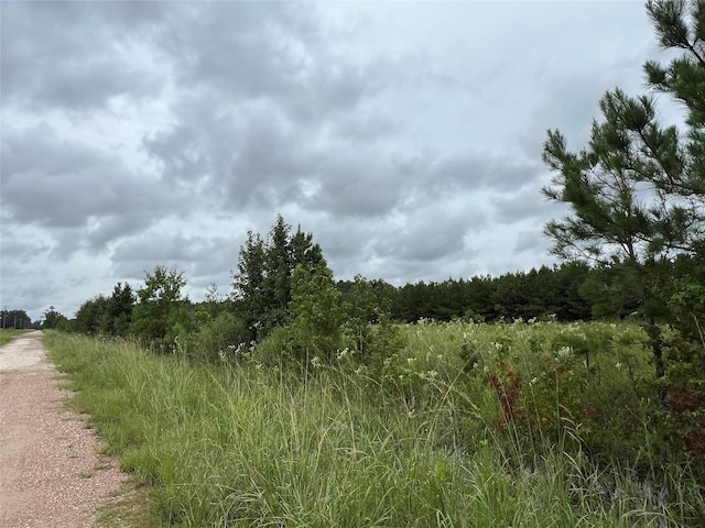 4 County Road 2204, Cleveland, TX 77327 - photo 6