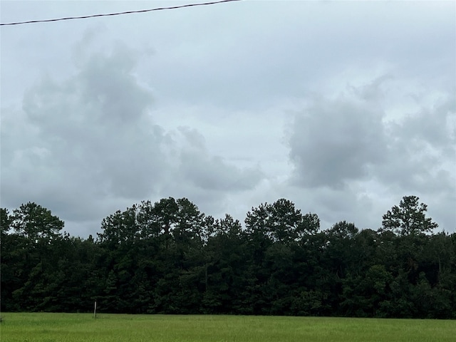 4 County Road 2204, Cleveland, TX 77327 - photo 9