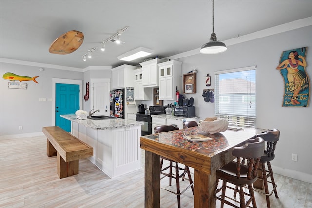 dining area with sink, rail lighting, light hardwood / wood-style flooring, and ornamental molding