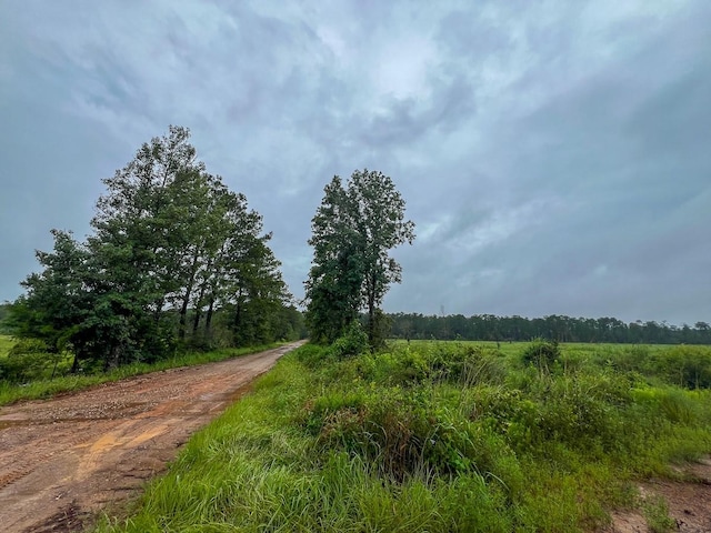 2 Fm 1276, Livingston, TX 77351 - photo 9