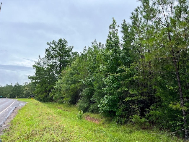 2 Fm 1276, Livingston, TX 77351 - photo 10