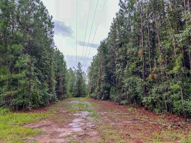 2 Fm 1276, Livingston, TX 77351 - photo 11