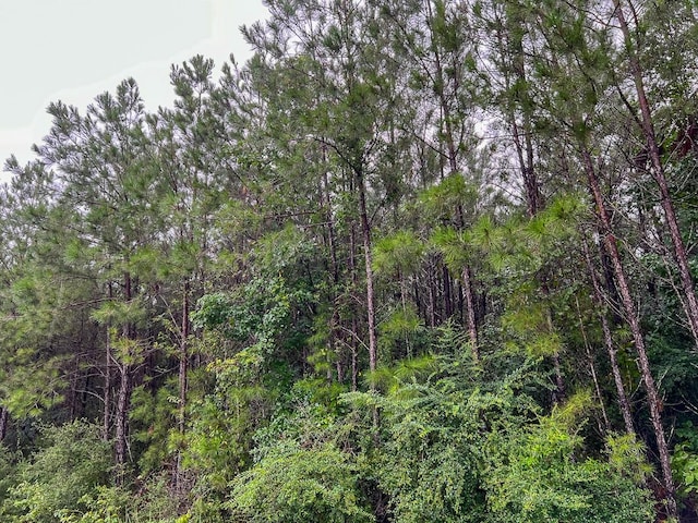 2 Fm 1276, Livingston, TX 77351 - photo 12