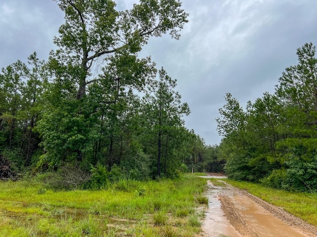 2 Fm 1276, Livingston, TX 77351 - photo 14