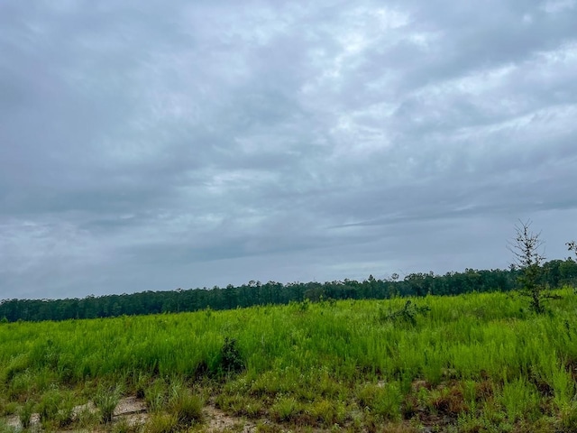 2 Fm 1276, Livingston, TX 77351 - photo 15