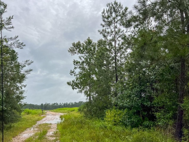 2 Fm 1276, Livingston, TX 77351 - photo 18