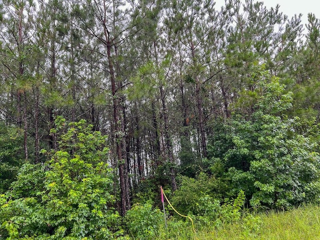2 Fm 1276, Livingston, TX 77351 - photo 19