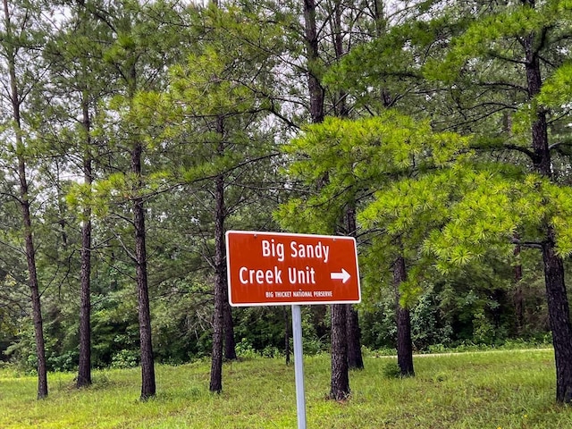 2 Fm 1276, Livingston, TX 77351 - photo 20