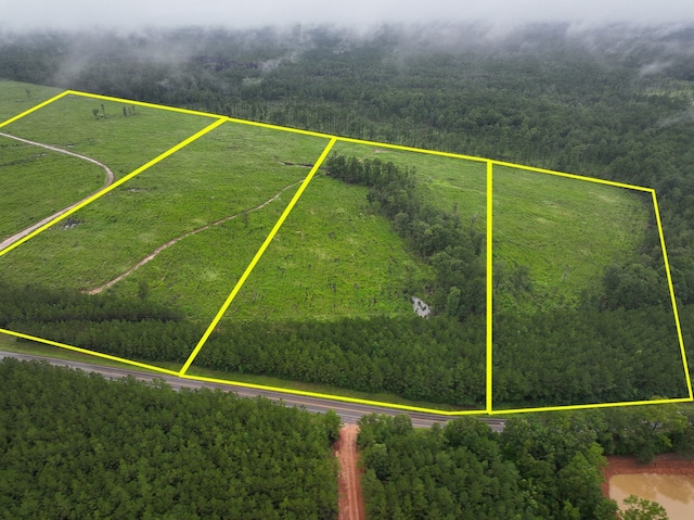 2 Fm 1276, Livingston, TX 77351 - photo 1