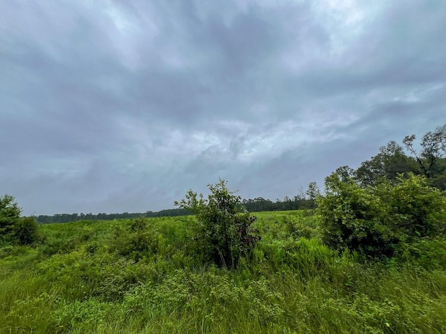 2 Fm 1276, Livingston, TX 77351 - photo 3