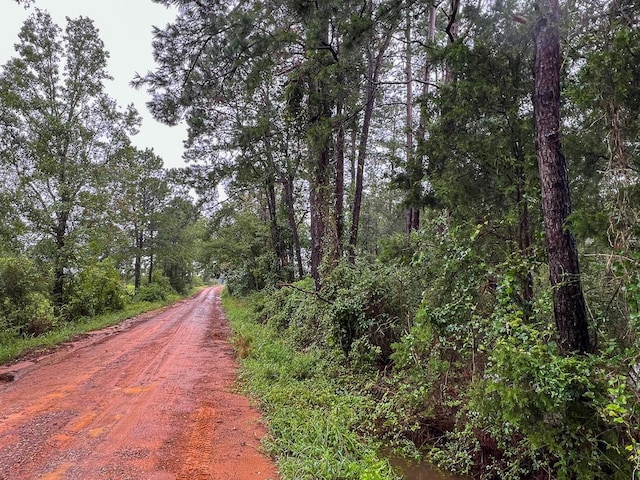 2 Fm 1276, Livingston, TX 77351 - photo 4