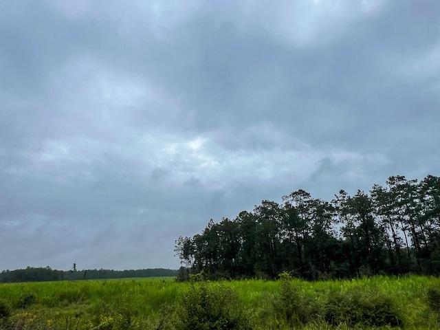 2 Fm 1276, Livingston, TX 77351 - photo 5