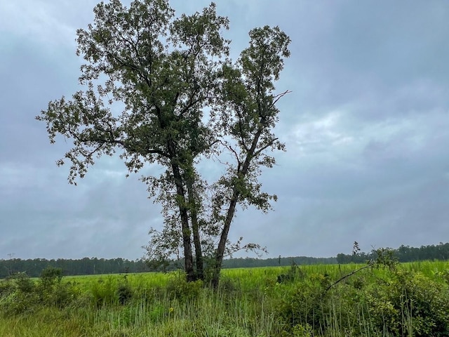 2 Fm 1276, Livingston, TX 77351 - photo 6