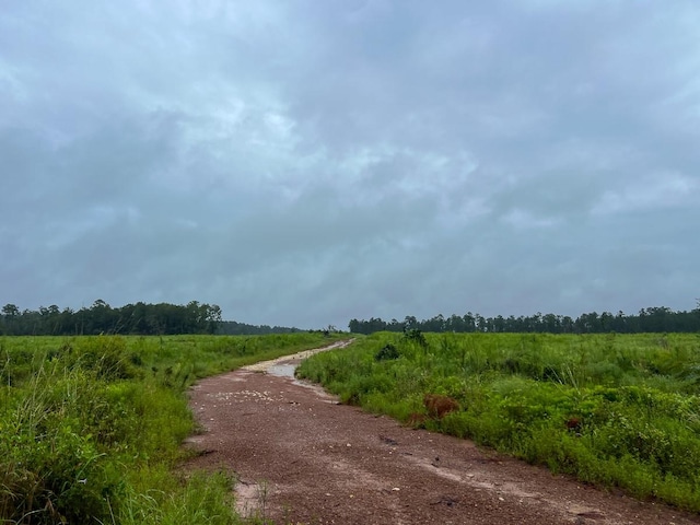 2 Fm 1276, Livingston, TX 77351 - photo 7