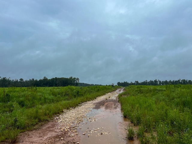 2 Fm 1276, Livingston, TX 77351 - photo 8