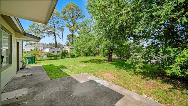 view of yard featuring a patio area