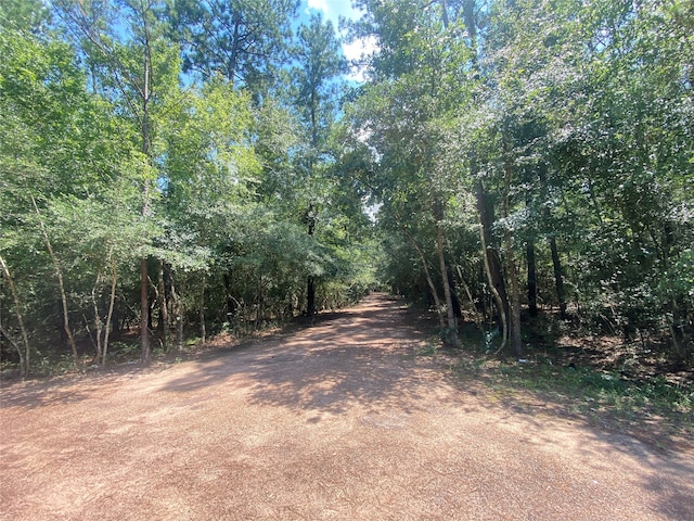 0 Sycamore Ln, Plantersville TX, 77363 land for sale